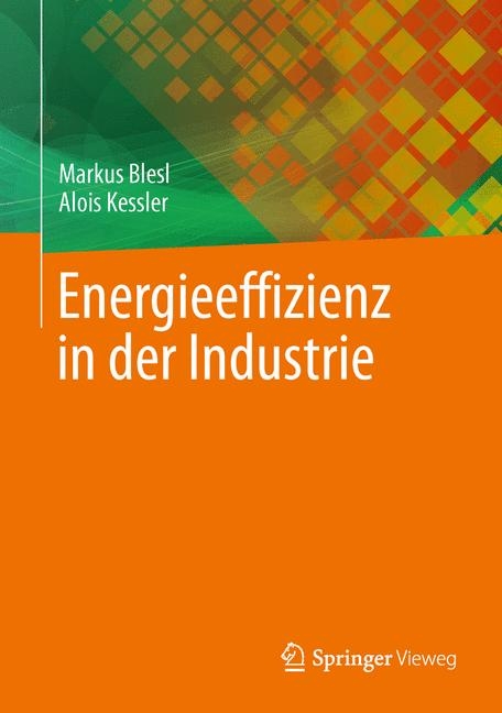 Energieeffizienz in der Industrie - Markus Blesl, Alois Kessler