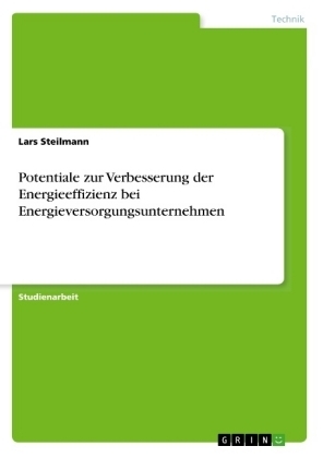 Potentiale zur Verbesserung der Energieeffizienz bei Energieversorgungsunternehmen - Lars Steilmann