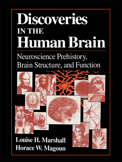 Discoveries in the Human Brain - Louise H. Marshall, Horace W. Magoun