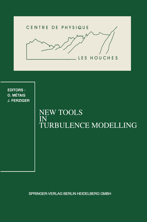 New Tools in Turbulence Modelling - 