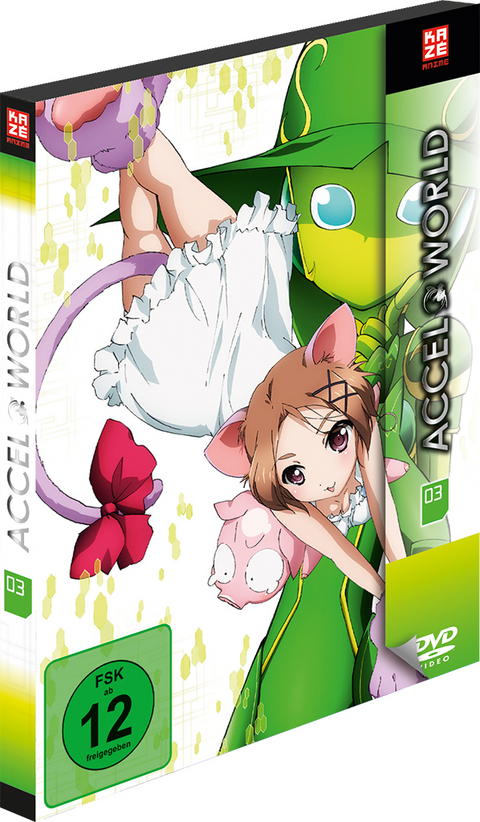 Accel World - DVD 3 - Masakazu Obara