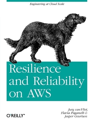 Resilience and Reliability on AWS - Jurg Van Fliet, Flavia Paganelli, Jasper Geurtsen