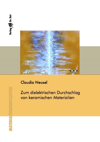 Zum dielektrischen Durchschlag von keramischen Materialien - Claudia Neusel