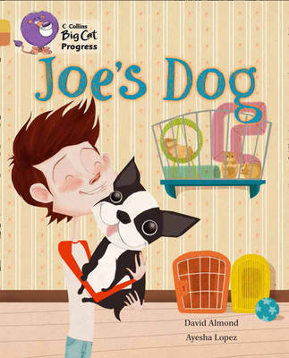 Joe’s Dog - David Almond