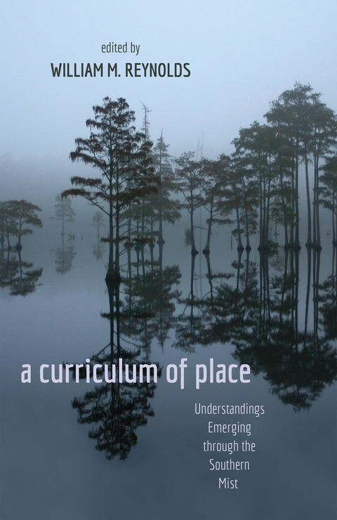 a curriculum of place - 