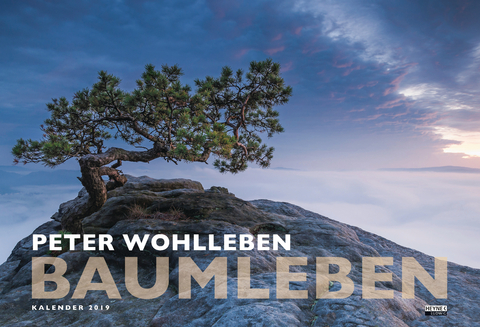 Baumleben - Peter Wohlleben