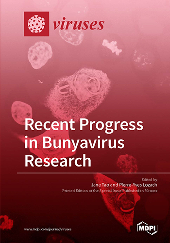 Viral Interactions with Host RNA Decay Pathways