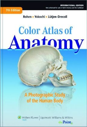 Color Atlas of Anatomy - international edition - Johannes W. Rohen, Chihiro Yokochi, Elke Lütjen-Drecoll