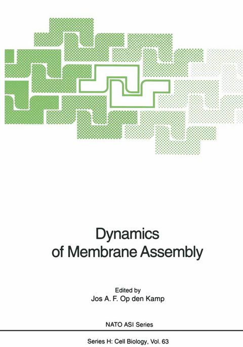 Dynamics of Membrane Assembly - 