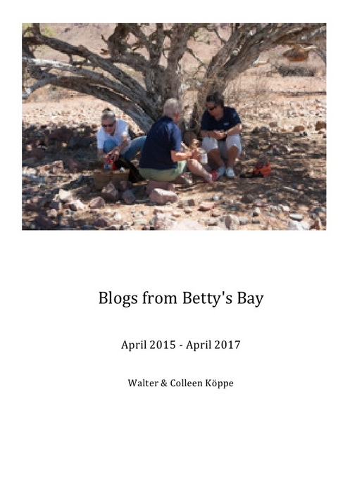 Blogs from Betty's Bay - Walter Köppe