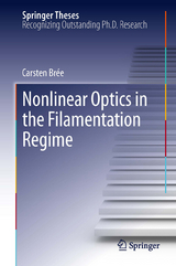 Nonlinear Optics in the Filamentation Regime - Carsten Brée
