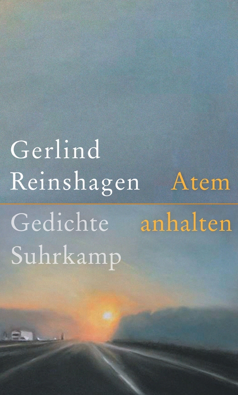 Atem anhalten - Gerlind Reinshagen