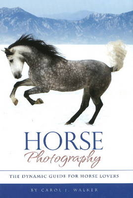 Horse Photography - Carol J Walker