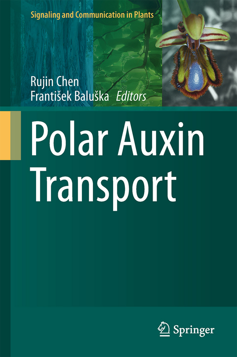 Polar Auxin Transport - 