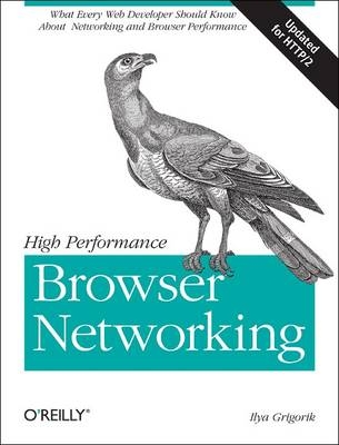 High Performance Browser Networking - Ilya Grigorik