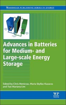 Advances in Batteries for Medium and Large-Scale Energy Storage - 