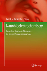 Nanobioelectrochemistry - 