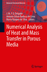 Numerical Analysis of Heat and Mass Transfer in Porous Media - 