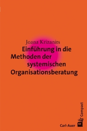 Einführung in die Methoden der systemischen Organisationsberatung - Joana Krizanits