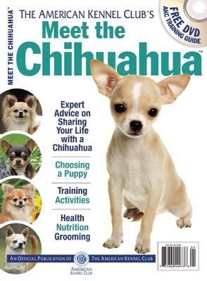 Meet the Chihuahua -  American Kennel Club