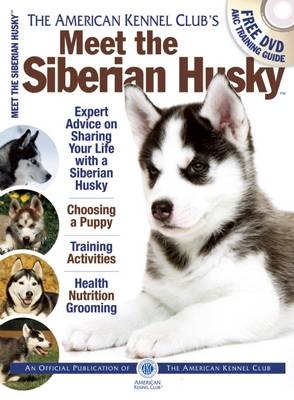 Meet the Siberian Husky -  American Kennel Club