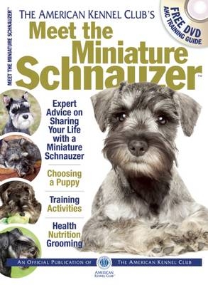 Meet the Miniature Schnauzer -  American Kennel Club
