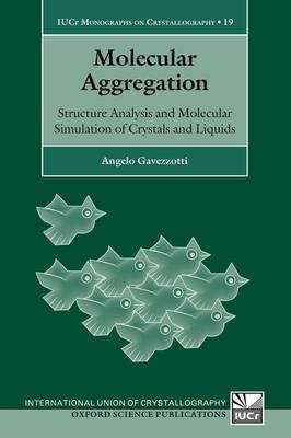 Molecular Aggregation - Angelo Gavezzotti