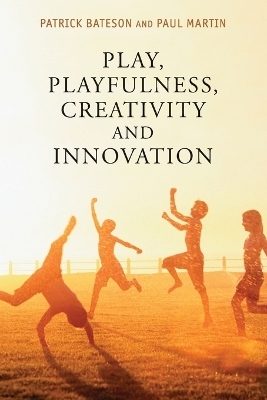 Play, Playfulness, Creativity and Innovation - Patrick Bateson, Paul Martin
