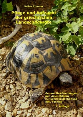 Pflege Und Aufzucht Der Griechischen Landschildkrote Testudo Hermanni Boettgeri in Menschlicher Obhut - Selina Zimmer