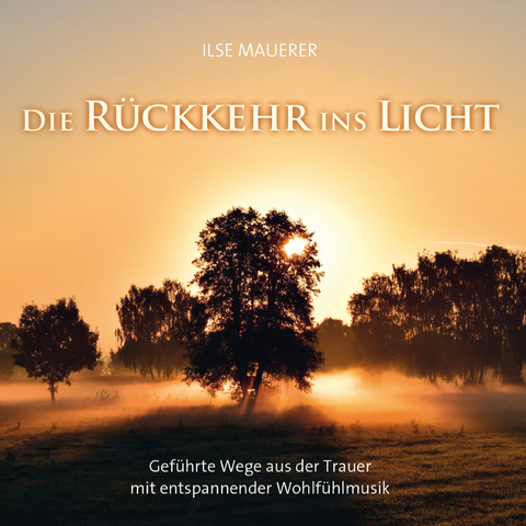 Die Rückkehr ins Licht - Ilse Mauerer