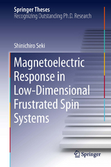 Magnetoelectric Response in Low-Dimensional Frustrated Spin Systems -  Shinichiro Seki