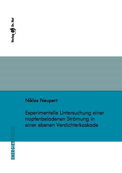 Experimentelle Untersuchung einer tropfenbeladenen Strömung in einer ebenen Verdichterkaskade - Niklas Neupert