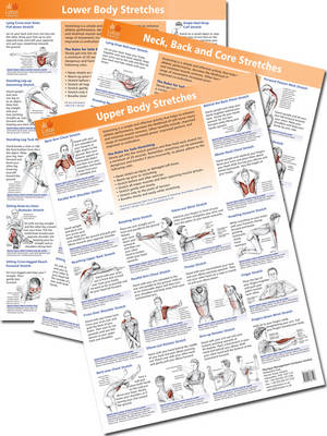Anatomy of Stretching Posters – Neck/Back/Core - B Walker