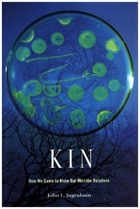 Kin - John L. Ingraham