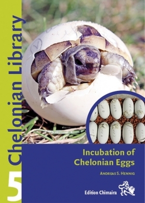 Incubating Chelonian Eggs - Andreas S. Hennig