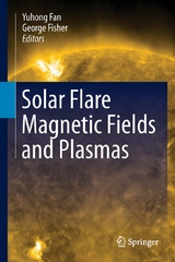 Solar Flare Magnetic Fields and Plasmas - 