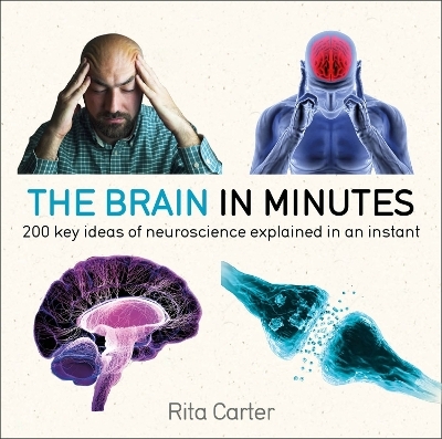 The Brain in Minutes - Rita Carter