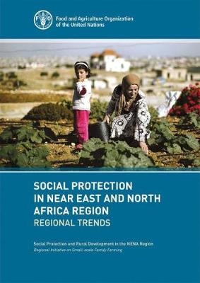 Social protection in near east and north Africa region - Flavia Lorenson,  Food and Agriculture Organization, Alfredo Impiglia