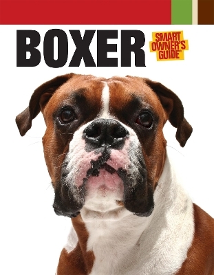 Boxer - Jurek Becker