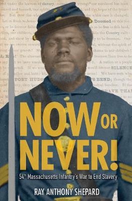 Now or Never! - Ray Anthony Shepard