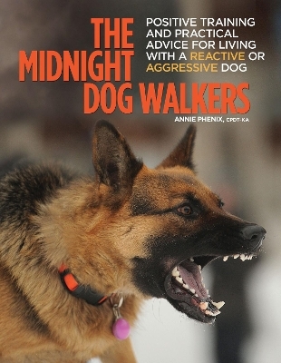 The Midnight Dog Walkers - Annie Phenix