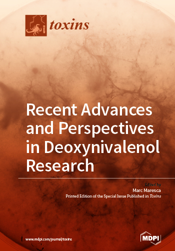 Recent Advances and Perspectives in Deoxynivalenol Research