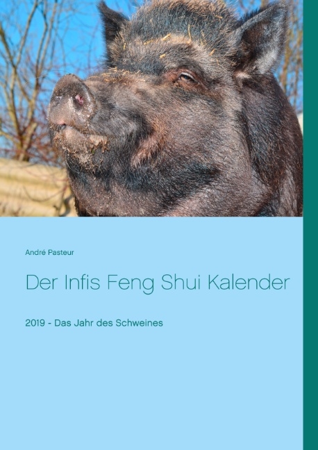 Der Infis Feng Shui Kalender - André Pasteur