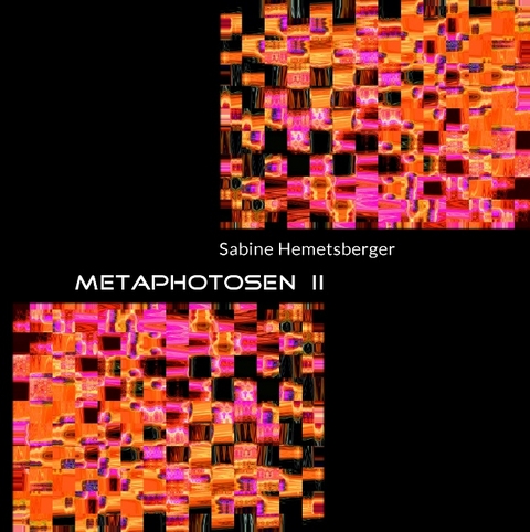 Metaphotosen II - Sabine Hemetsberger