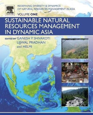 Redefining Diversity and Dynamics of Natural Resources Management in Asia, Volume 1 - 