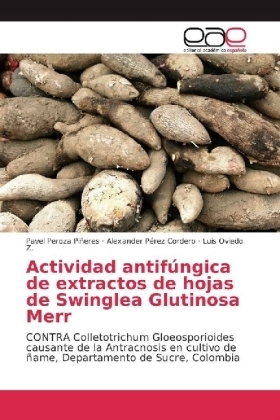 Actividad antifÃºngica de extractos de hojas de Swinglea Glutinosa Merr - Pavel Peroza PiÃ±eres, Alexander PÃ©rez Cordero, Luis Oviedo Z.