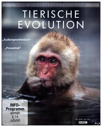 David Attenborough: Tierische Evolution, 1 Blu-ray