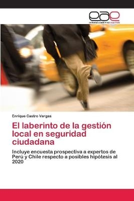 El laberinto de la gestiÃ³n local en seguridad ciudadana - Enrique Castro Vargas