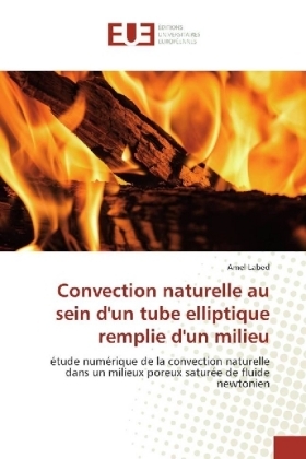 Convection naturelle au sein d'un tube elliptique remplie d'un milieu - Amel Labed