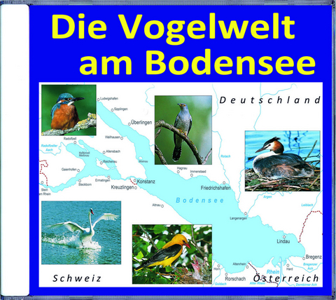 Die Vogelwelt am Bodensee - Karl-Heinz Dingler